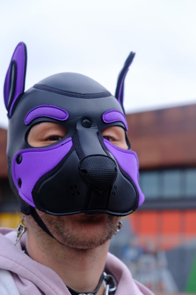 Pup hood close-up