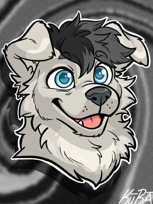 Fen, a grey and white pup with bright blue eyes